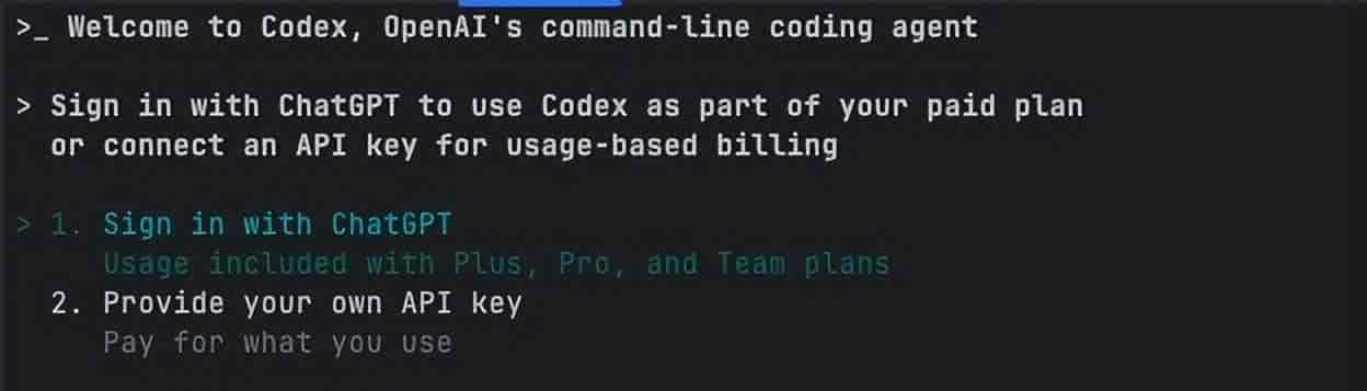 Codex使用指南