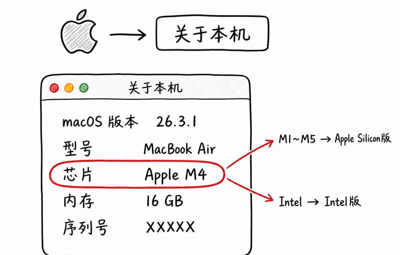 Codex 桌面端怎么安装?Mac 版小白完整操作指南