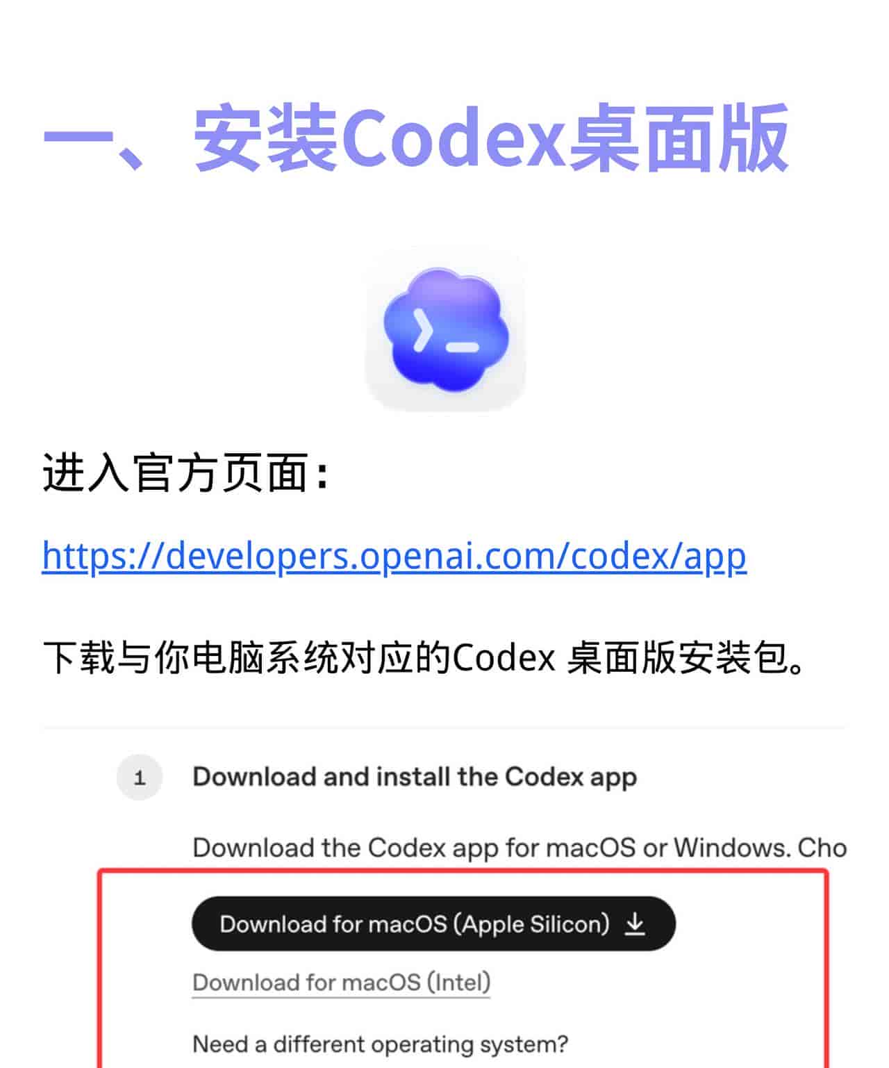 Codex桌面客户端图文教程优化重制版
