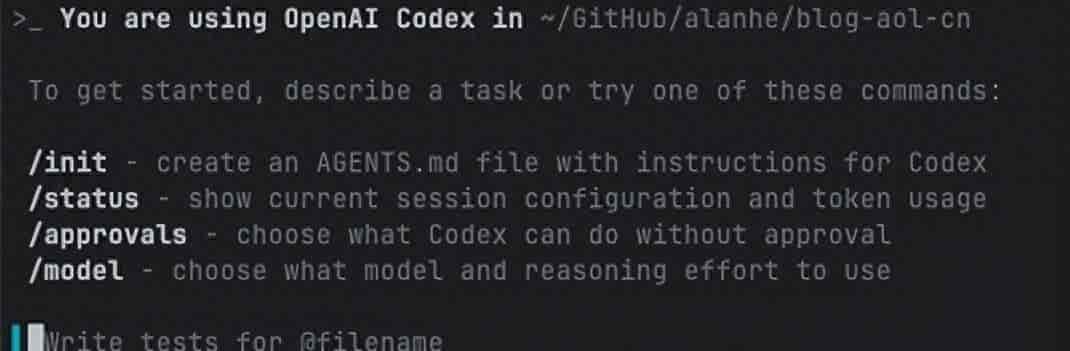Codex使用指南