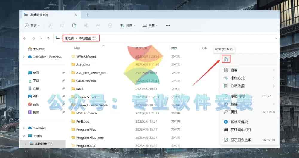 LS-DYNA R13软件安装包及详细安装教程