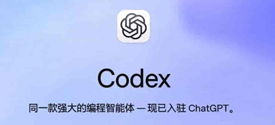 一个AI邪修玩法:Codex可以“换脸”了!