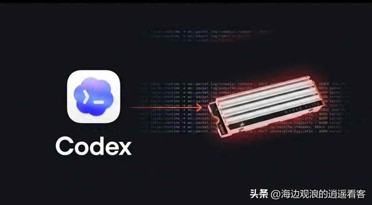 在用CODEX的快自查,后台狂写硬盘,电脑硬盘容易报废