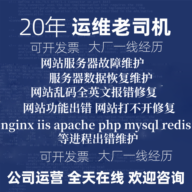 网站故障修复宝塔无法访问打开报错功能异常打开慢乱码报错维护