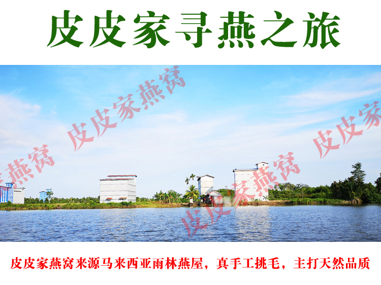 印尼原装进口特大燕条100g溯源码金丝燕盏条孕妇燕窝正品滋补礼品