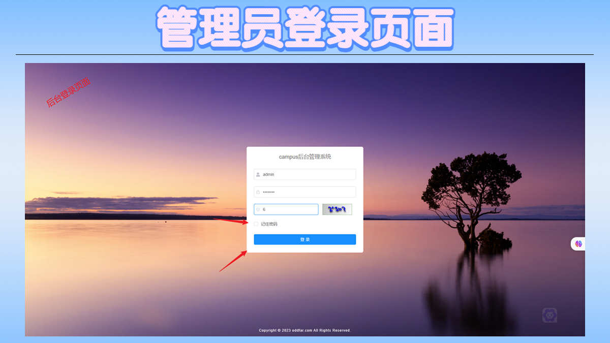 校园论坛系统 帖子 springboot vue java项目源码带文档报告
