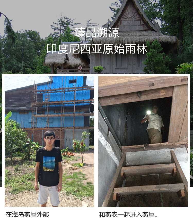 燕窝溯朔源码正品小鸟牌楼上干挑大中小孕期滋养轻毛燕窝碎燕盏条