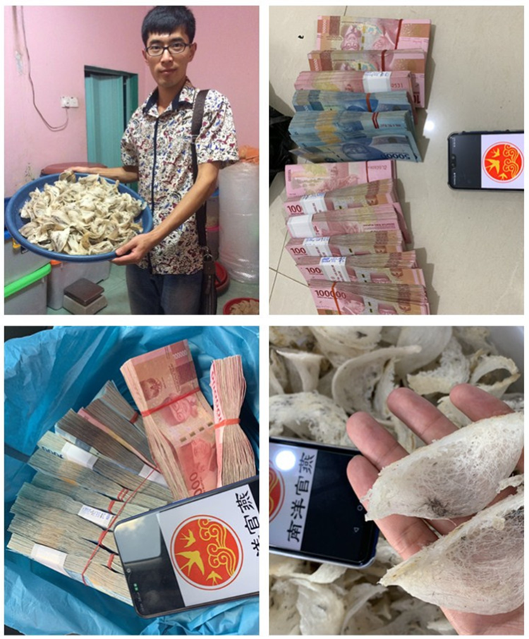 燕窝溯朔源码正品小鸟牌楼上干挑大中小孕期滋养轻毛燕窝碎燕盏条