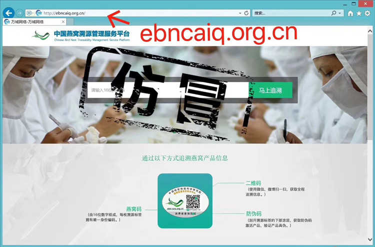 燕窝溯朔源码正品小鸟牌楼上干挑大中小孕期滋养轻毛燕窝碎燕盏条