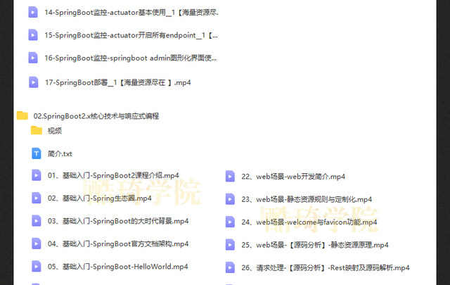 springboot视频教程项目实战课程java编程开发案例源码端视频教程