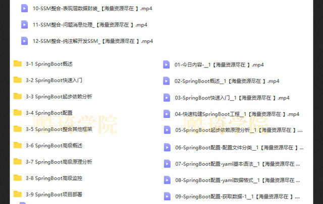 springboot视频教程项目实战课程java编程开发案例源码端视频教程