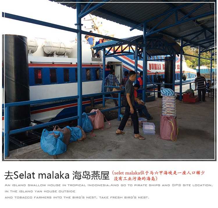 燕窝溯朔源码正品小鸟牌楼上干挑大中小孕期滋养轻毛燕窝碎燕盏条