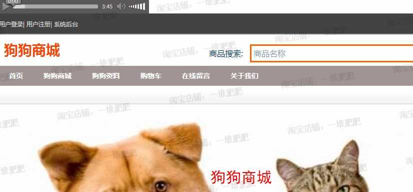 基于JAVA的宠物管理系统实现完整源码数据库文件全套文档演示视频