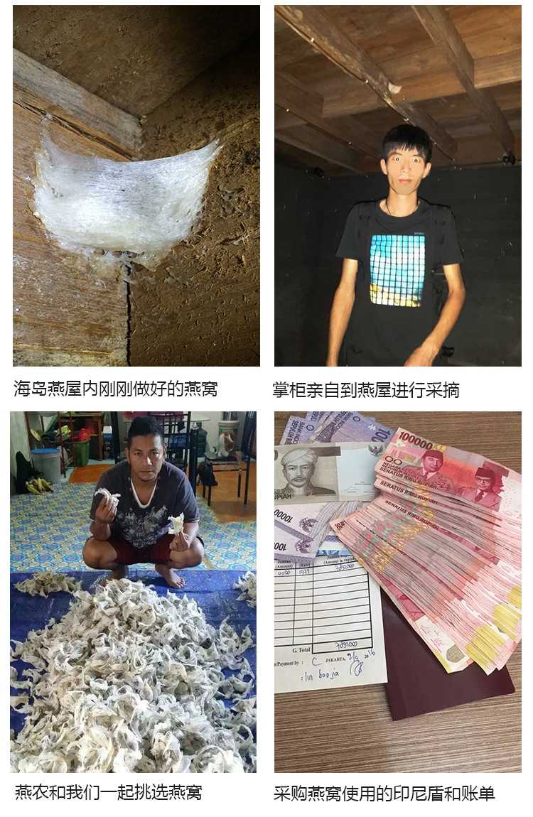 燕窝溯朔源码正品小鸟牌楼上干挑大中小孕期滋养轻毛燕窝碎燕盏条