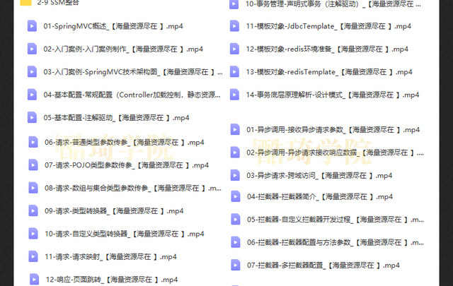 springboot视频教程项目实战课程java编程开发案例源码端视频教程
