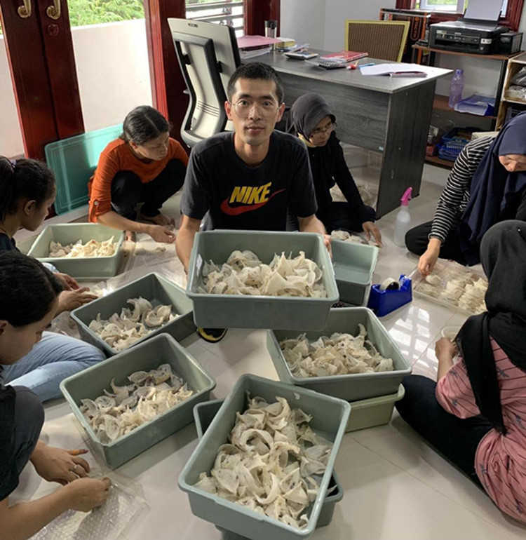 燕窝溯朔源码正品小鸟牌楼上干挑大中小孕期滋养轻毛燕窝碎燕盏条