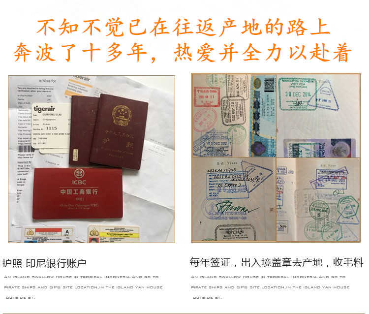 燕窝溯朔源码正品小鸟牌楼上干挑大中小孕期滋养轻毛燕窝碎燕盏条