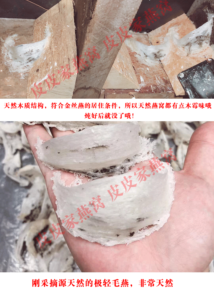 印尼原装进口特大燕条100g溯源码金丝燕盏条孕妇燕窝正品滋补礼品