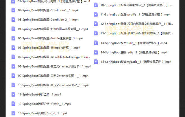 springboot视频教程项目实战课程java编程开发案例源码端视频教程