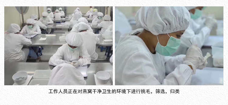 印尼001小鸟中小盏50g 溯源码原装进口燕窝盏 金丝燕盏 特惠燕盏