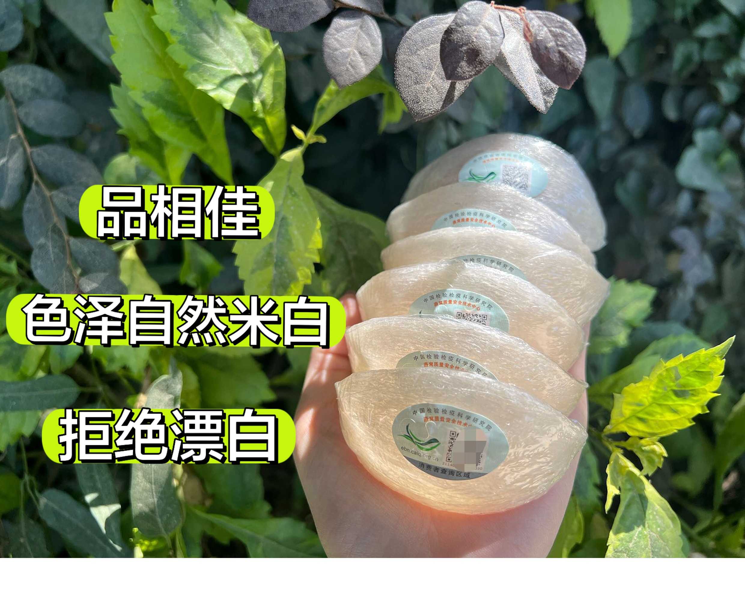 CAIQ溯源码正品马来西亚干燕窝大燕盏孕妇官燕纯干挑干盏燕条盏条