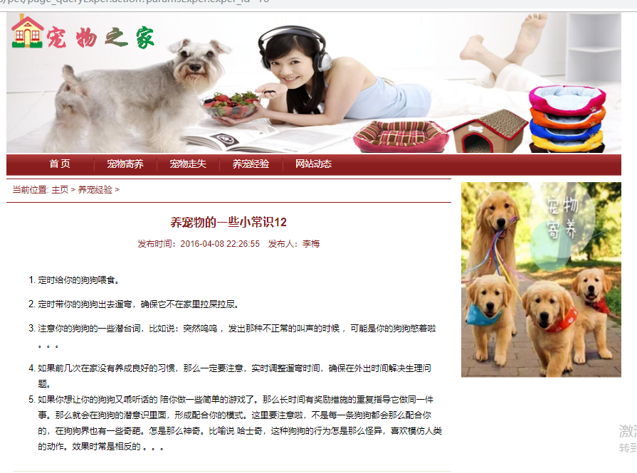 java宠物领养系统源代码 jsp宠物寄养管理系统项目设计源码带文档