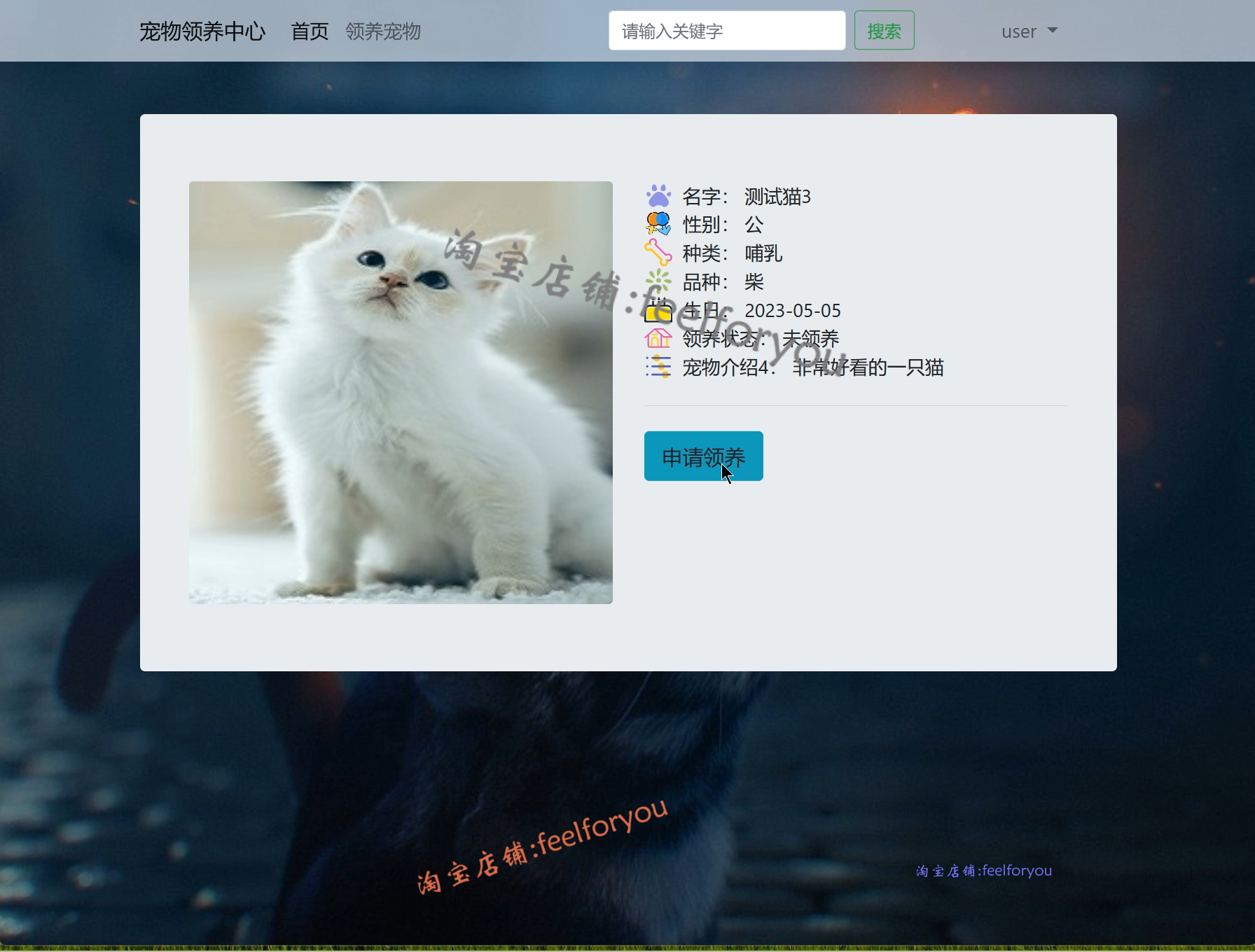 java宠物领养系统源代码springboot宠物寄养管理系统项目设计源码