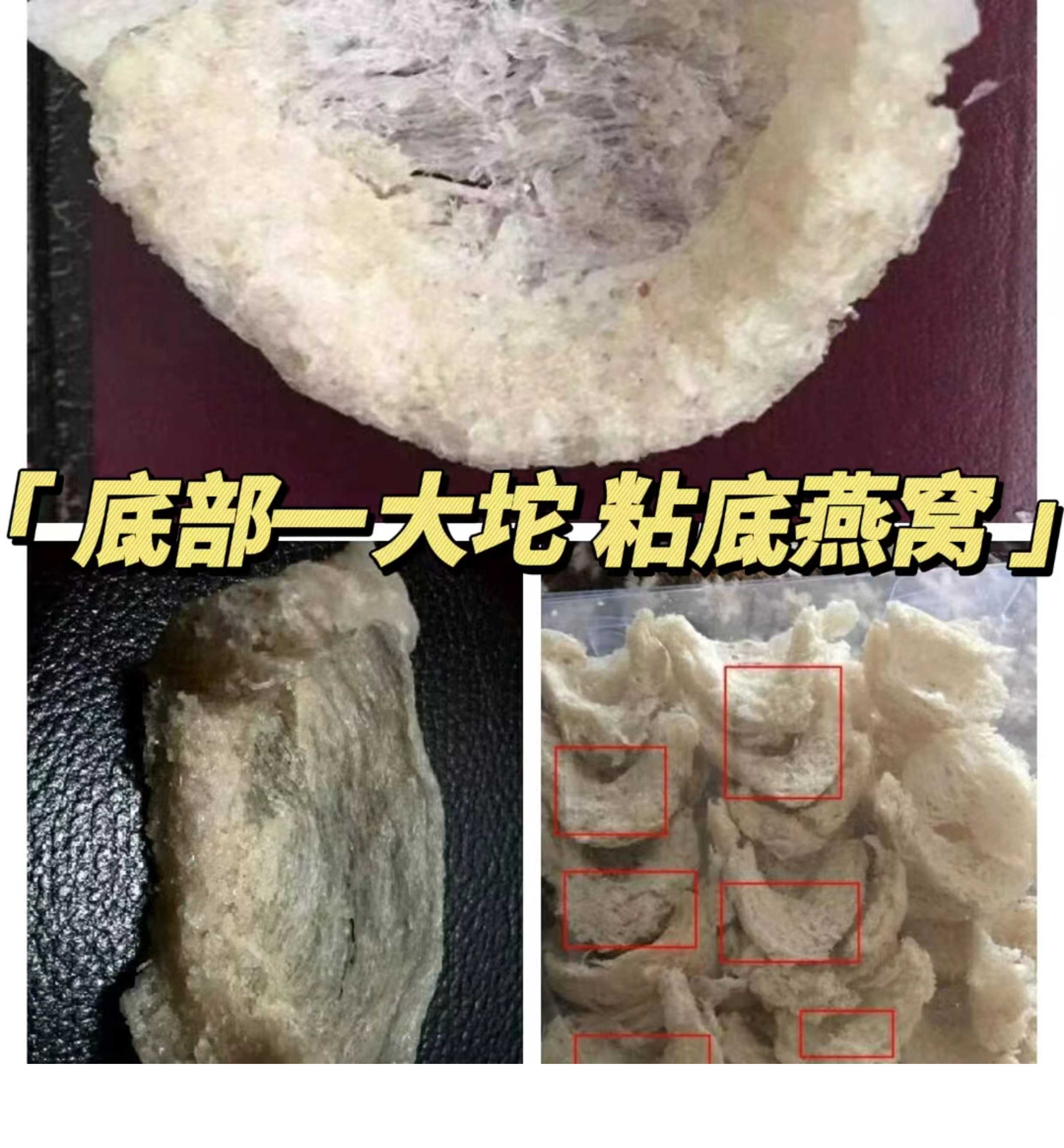 CAIQ溯源码正品马来西亚干燕窝大燕盏孕妇官燕纯干挑干盏燕条盏条
