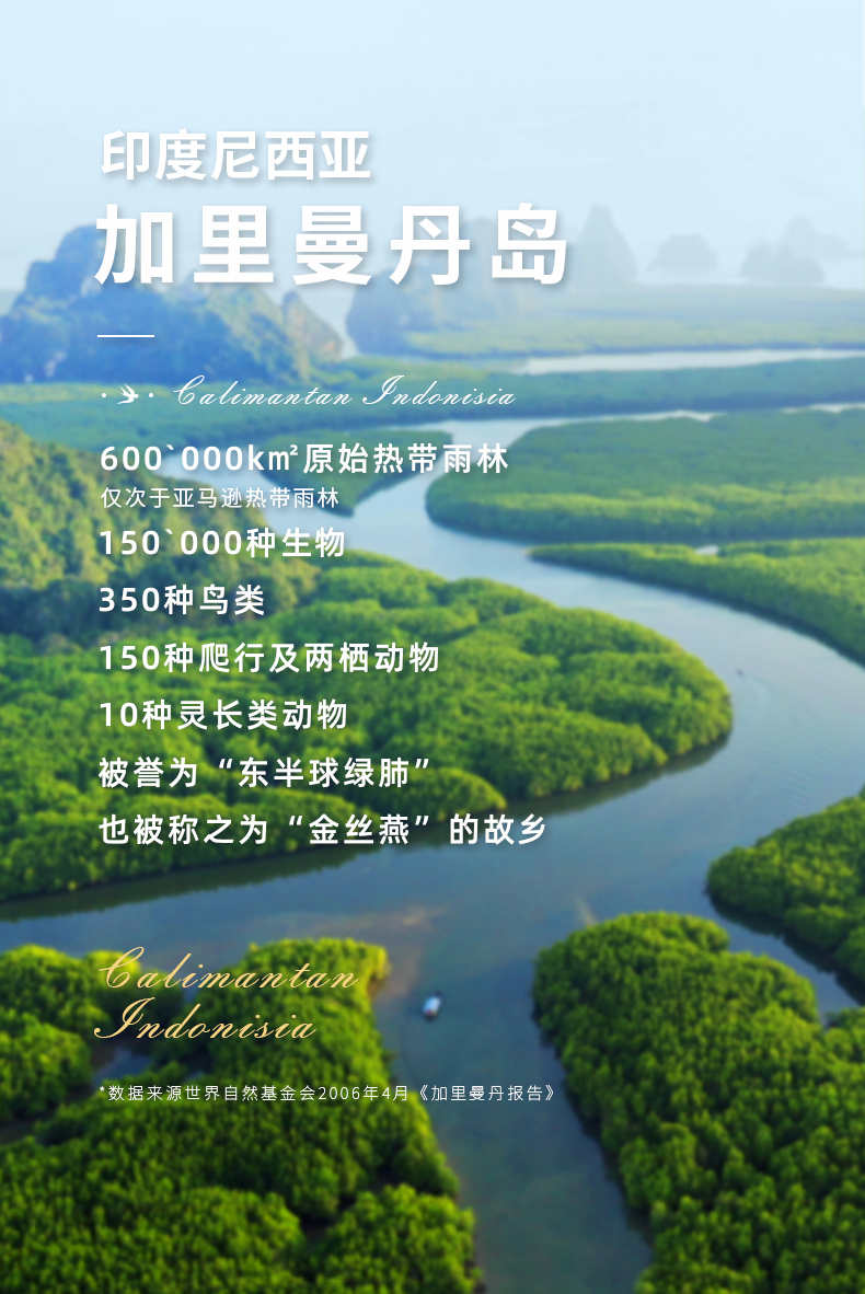 燕窝官方正品旗舰店印尼进口溯源码白燕盏孕妇滋补干盏金丝燕礼盒