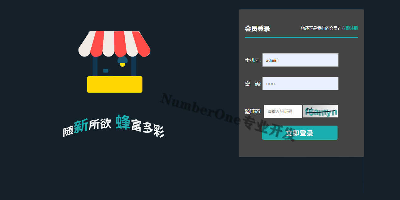SpringBoot网上商城项目后台管理系统源码javaweb实战带前台学生