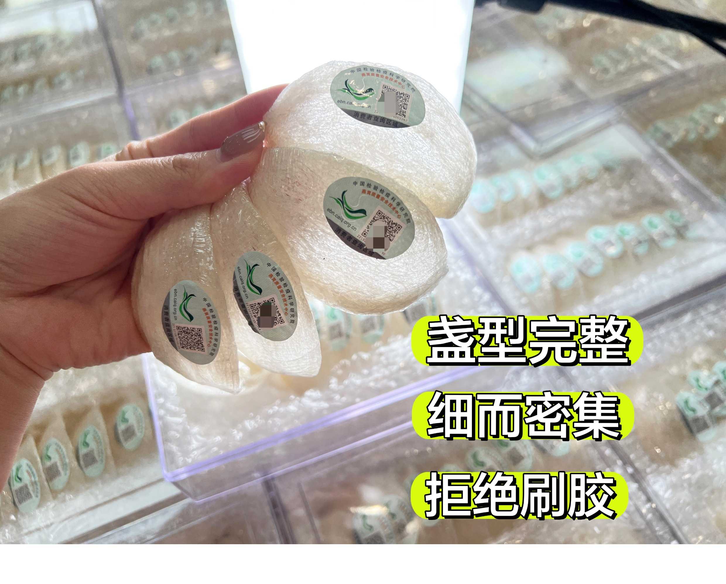 CAIQ溯源码正品马来西亚干燕窝大燕盏孕妇官燕纯干挑干盏燕条盏条