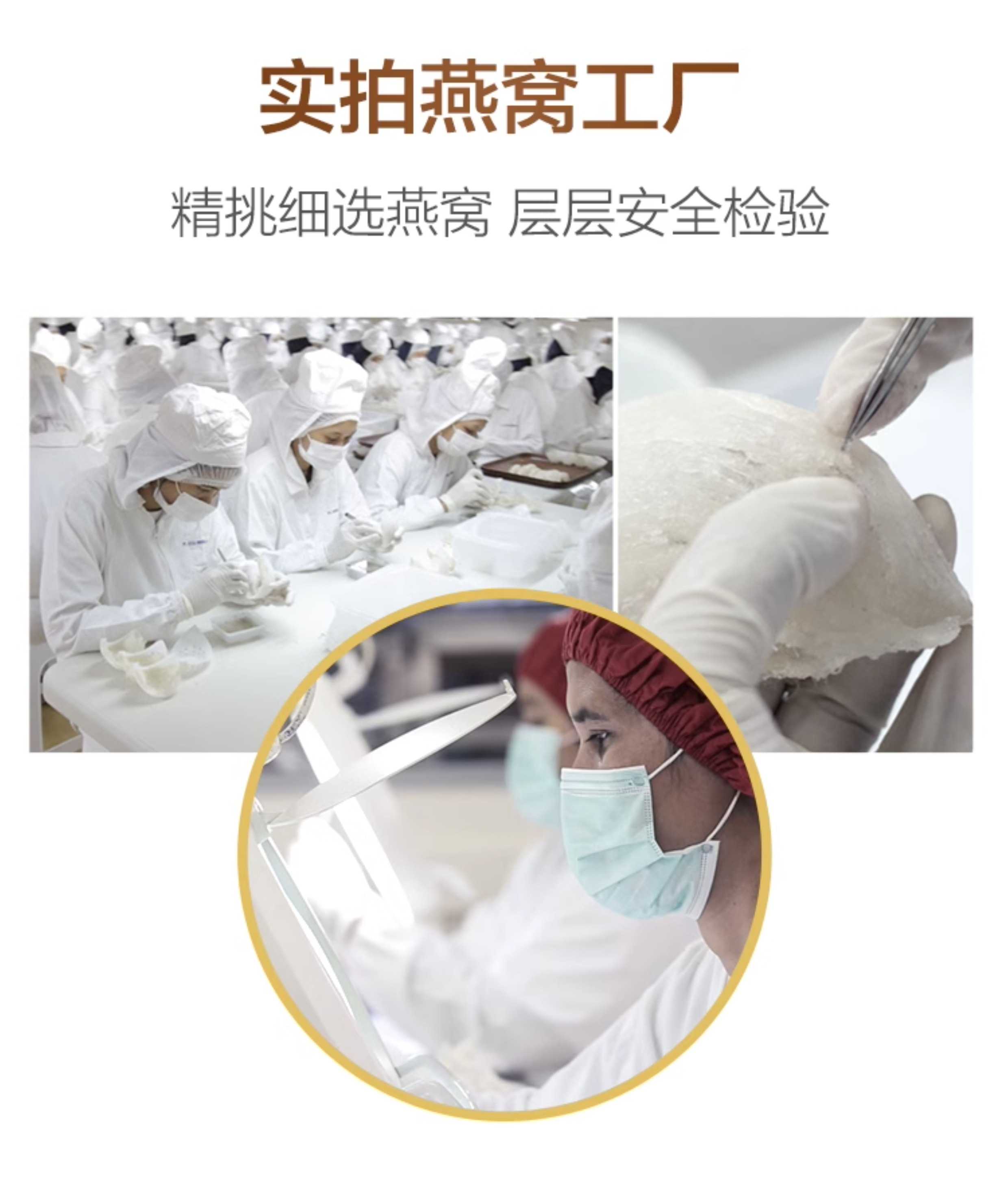 CAIQ溯源码正品马来西亚干燕窝大燕盏孕妇官燕纯干挑干盏燕条盏条