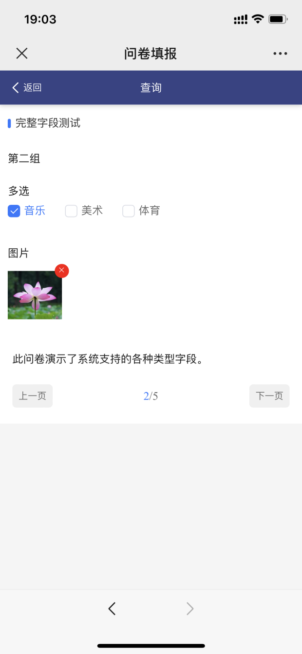 迪鹏问卷系统php+mysq+uniapp小程序，laravel问卷调查系统源码