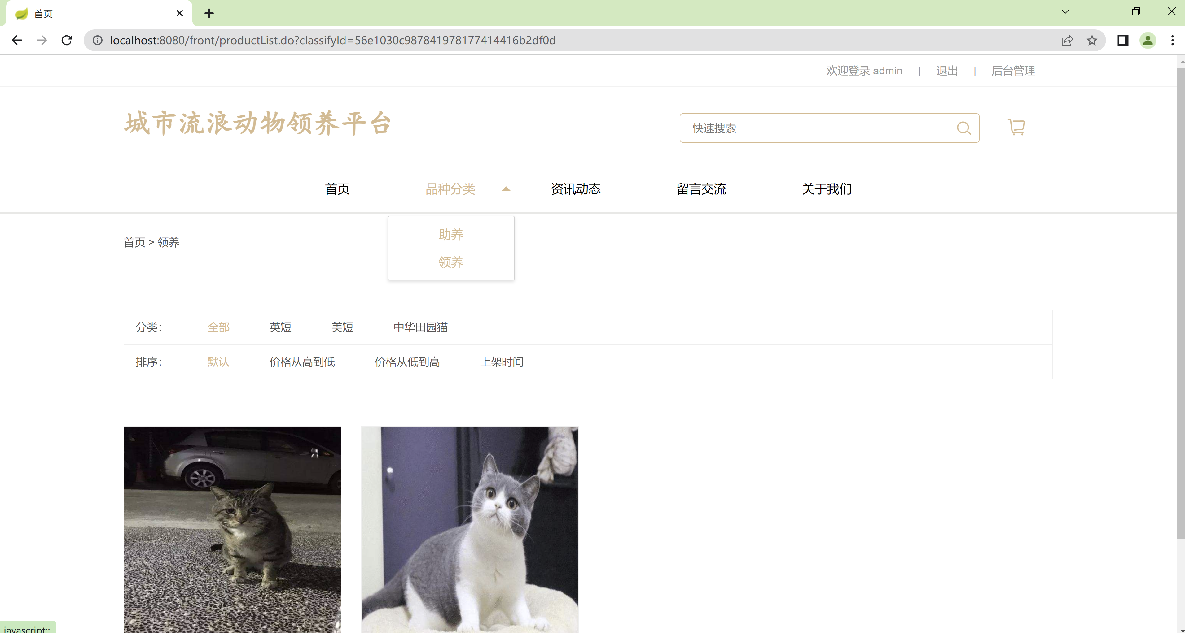 Java城市流浪动物领养平台源码 SpringBoot