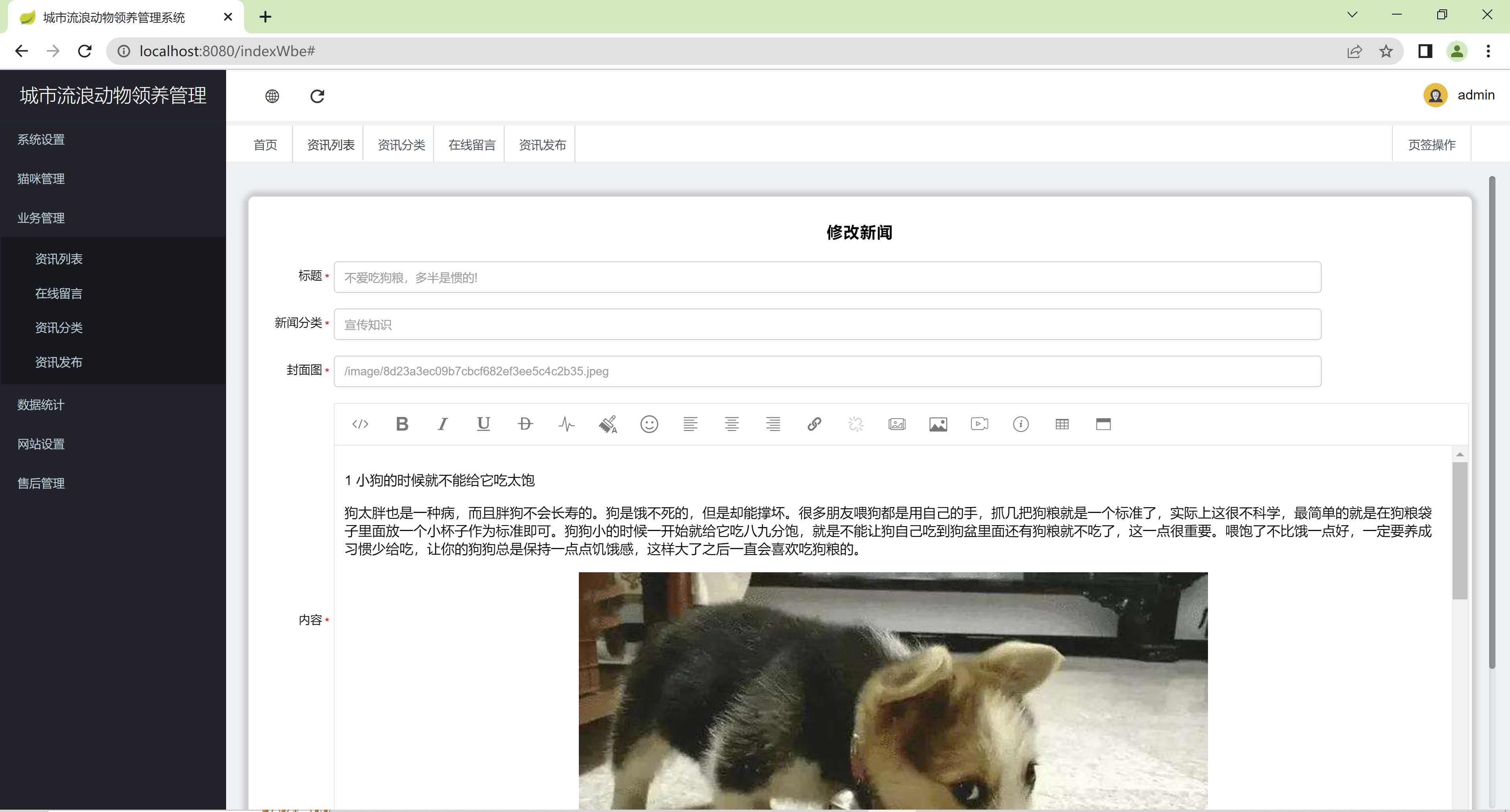 Java城市流浪动物领养平台源码 SpringBoot