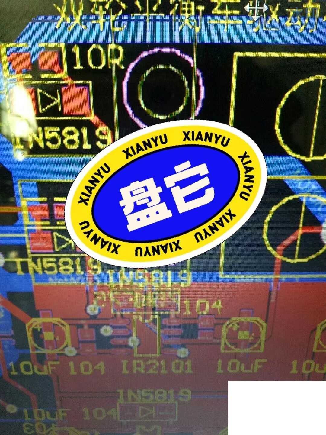 STM 32开发的载人双轮平衡车驱动板控制系统，包括程序源码加原理