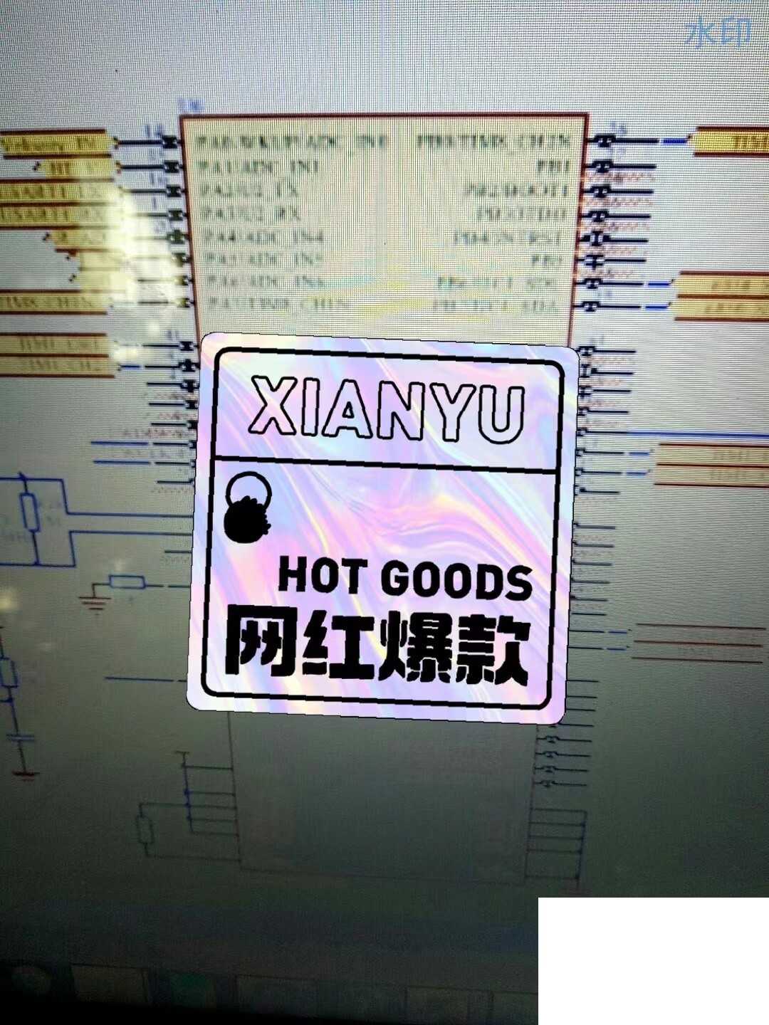 STM 32开发的载人双轮平衡车驱动板控制系统，包括程序源码加原理