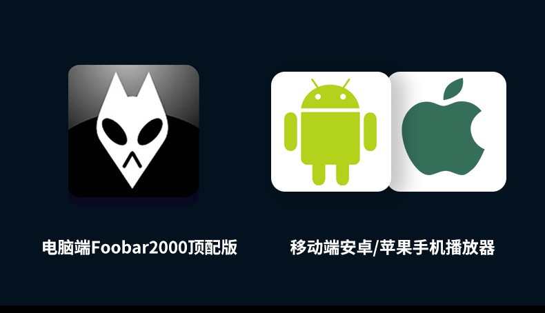 2024年无损车载音乐下载包高音质免费抖音MP3歌曲dj/flac/wav/mp4